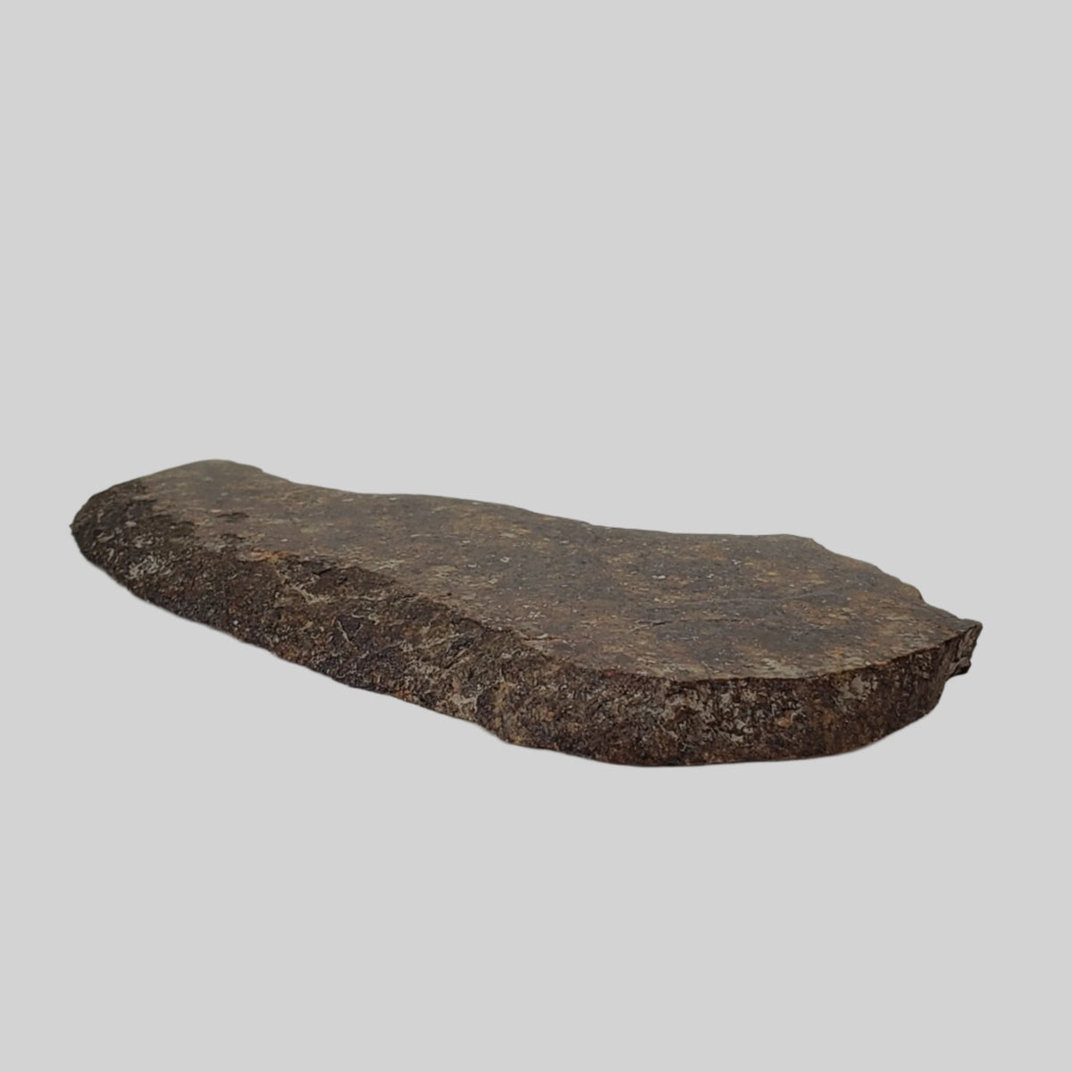  NWA 250 Meteorite | 55.70 Gr | Slice | L6 Chondrite | Sahara | SO24 6