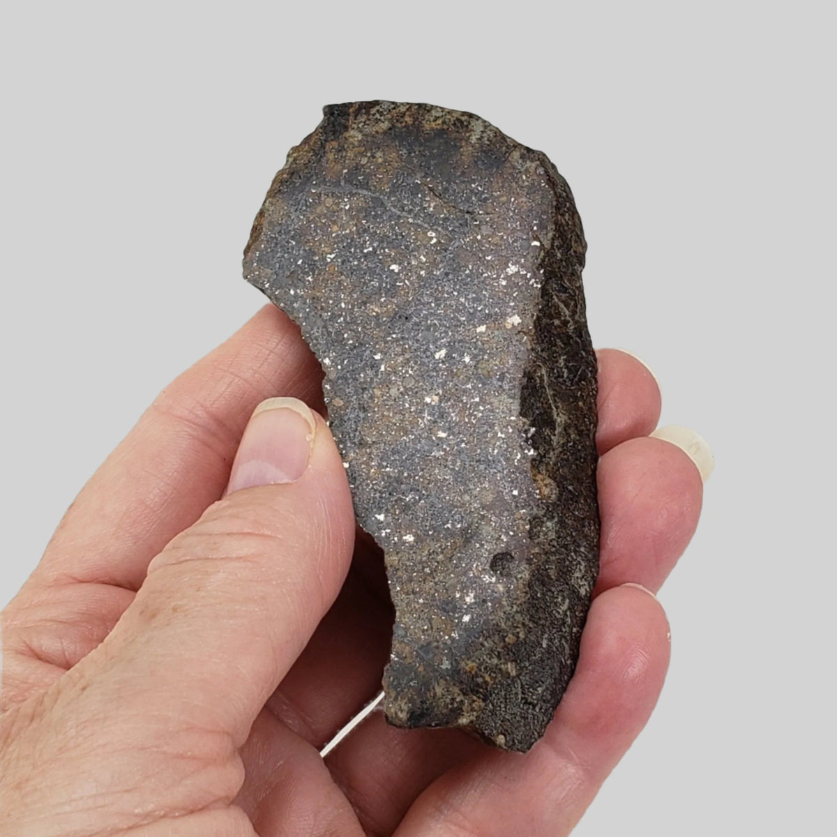  NWA 250 Meteorite | 55.70 Gr | Slice | L6 Chondrite | Sahara | SO24 7