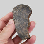  NWA 250 Meteorite | 55.70 Gr | Slice | L6 Chondrite | Sahara | SO24 8