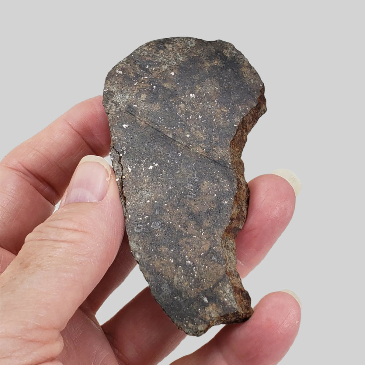  NWA 250 Meteorite | 55.70 Gr | Slice | L6 Chondrite | Sahara | SO24 8