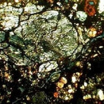  NWA 267 Meteorite | 10.8 Grams | H4 Chondrite | First Used in Legal Tender Coin | Sahara 9