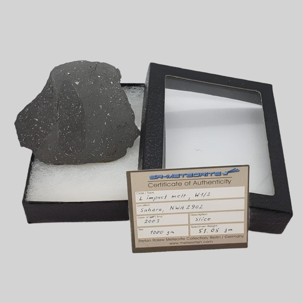  NWA 2902 Meteorite | 51.05 Gr Slice | Rare L-Melt Rock | Low TKW 9