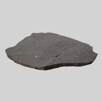  NWA 2902 Meteorite | 51.05 Gr Slice | Rare L-Melt Rock | Low TKW 6