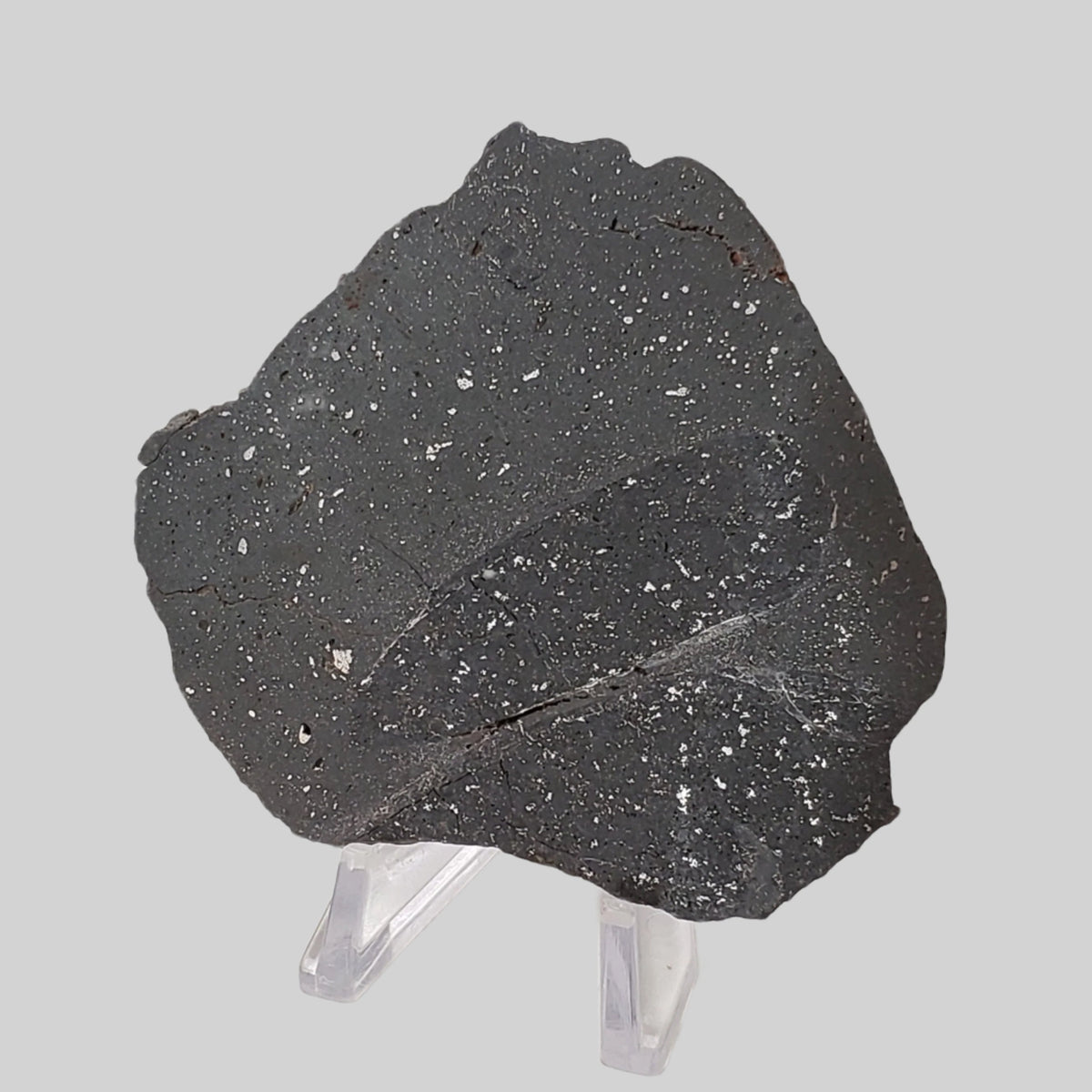  NWA 2902 Meteorite | 51.05 Gr Slice | Rare L-Melt Rock | Low TKW 8
