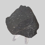  NWA 2902 Meteorite | 51.05 Gr Slice | Rare L-Melt Rock | Low TKW 8