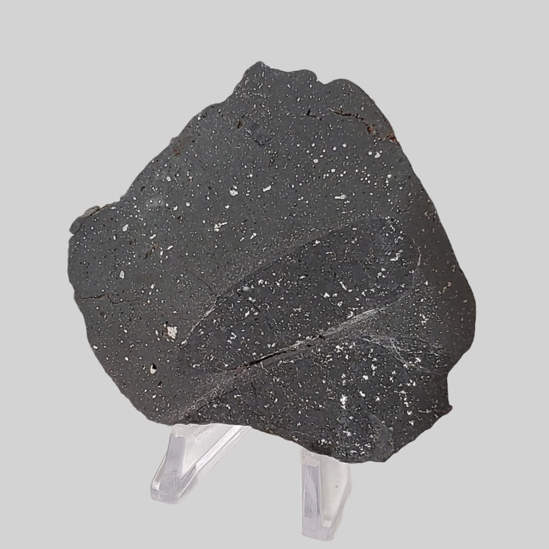  NWA 2902 Meteorite | 51.05 Gr Slice | Rare L-Melt Rock | Low TKW 8