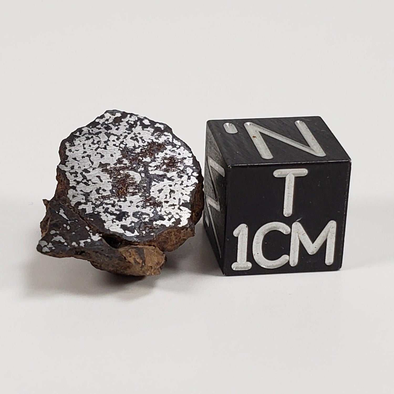  NWA 2924 Meteorite | 3.93 Gr | End Cut | Stony Iron Mesosiderite | Algeria | SO24 