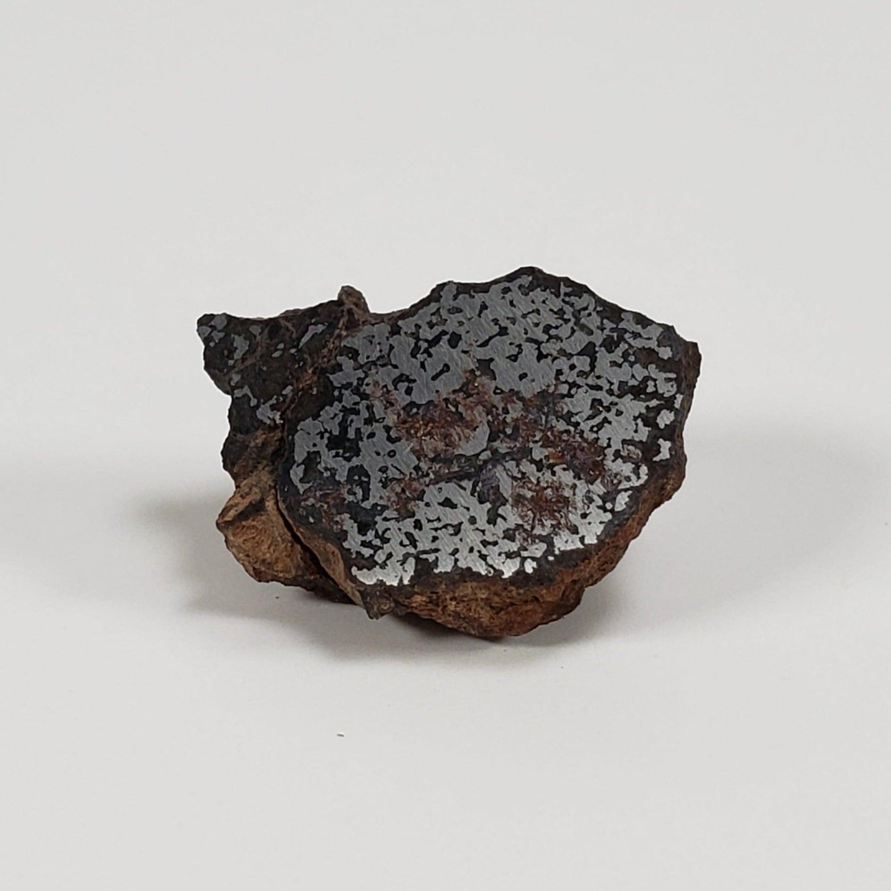  NWA 2924 Meteorite | 3.93 Gr | End Cut | Stony Iron Mesosiderite | Algeria | SO24 1