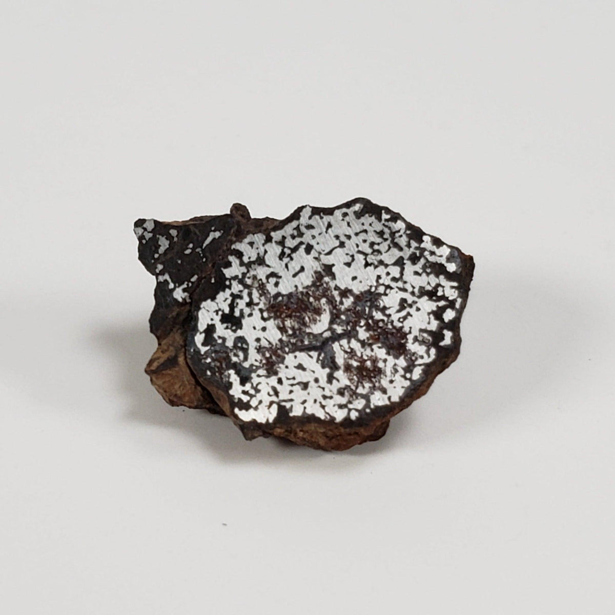  NWA 2924 Meteorite | 3.93 Gr | End Cut | Stony Iron Mesosiderite | Algeria | SO24 2