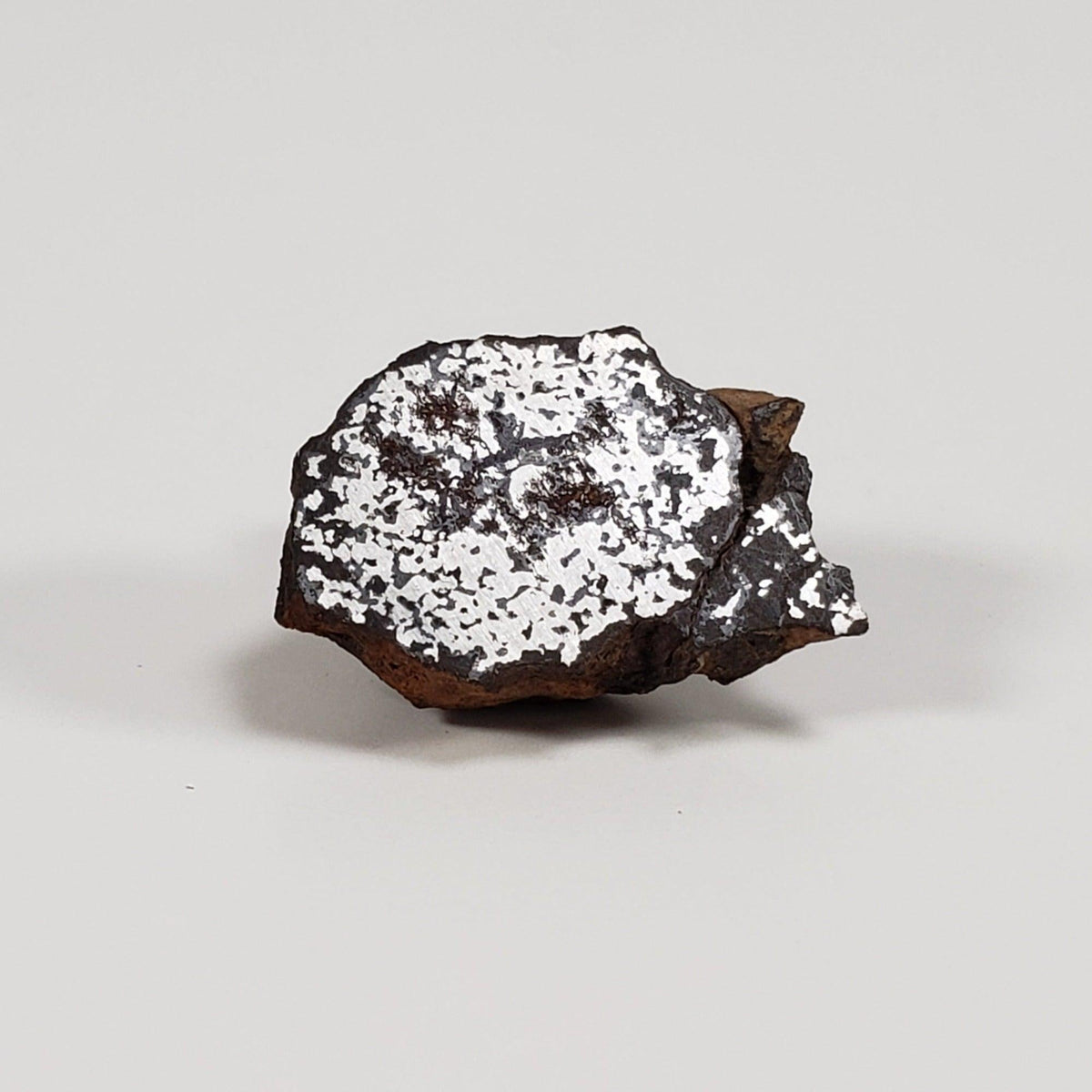  NWA 2924 Meteorite | 3.93 Gr | End Cut | Stony Iron Mesosiderite | Algeria | SO24 3