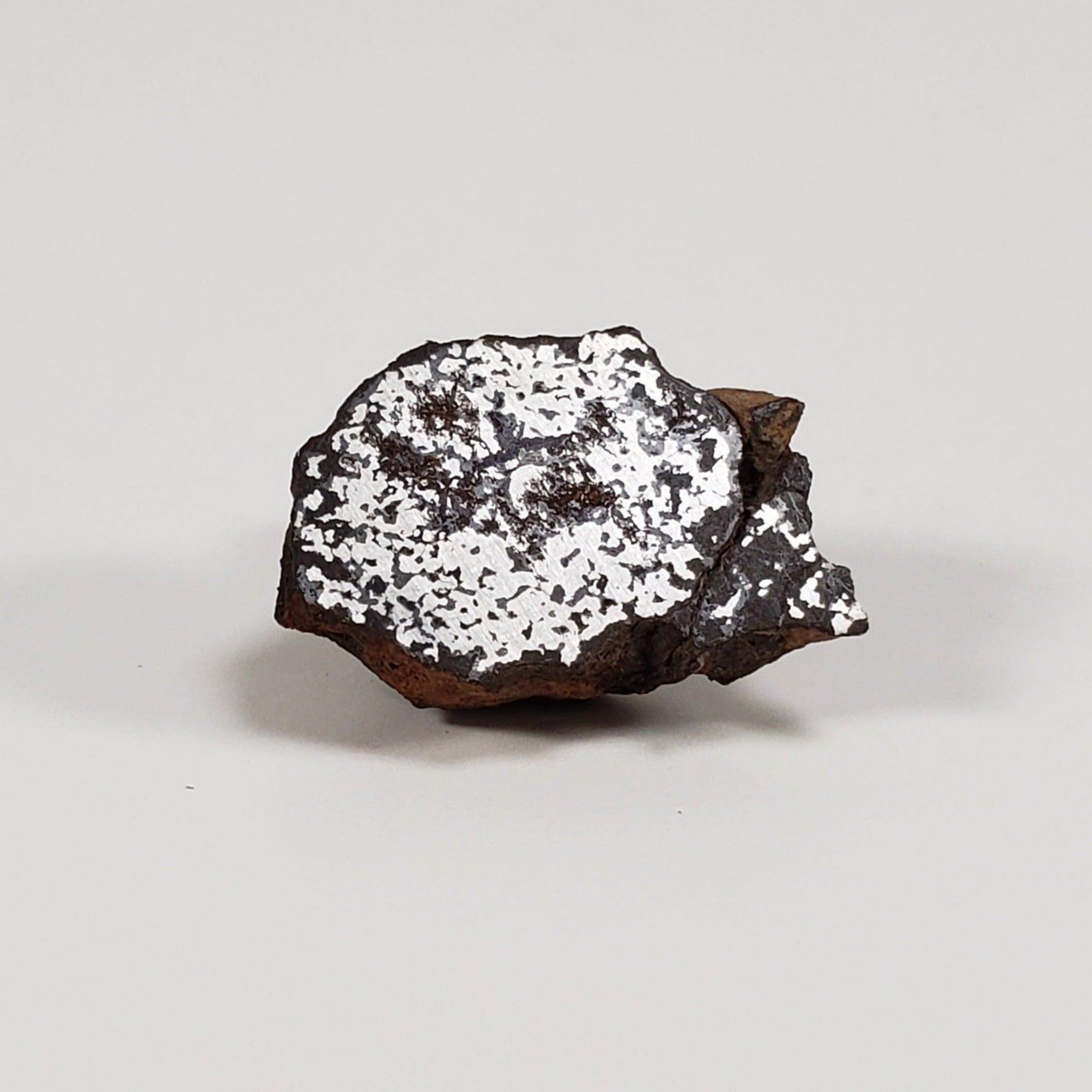  NWA 2924 Meteorite | 3.93 Gr | End Cut | Stony Iron Mesosiderite | Algeria | SO24 3