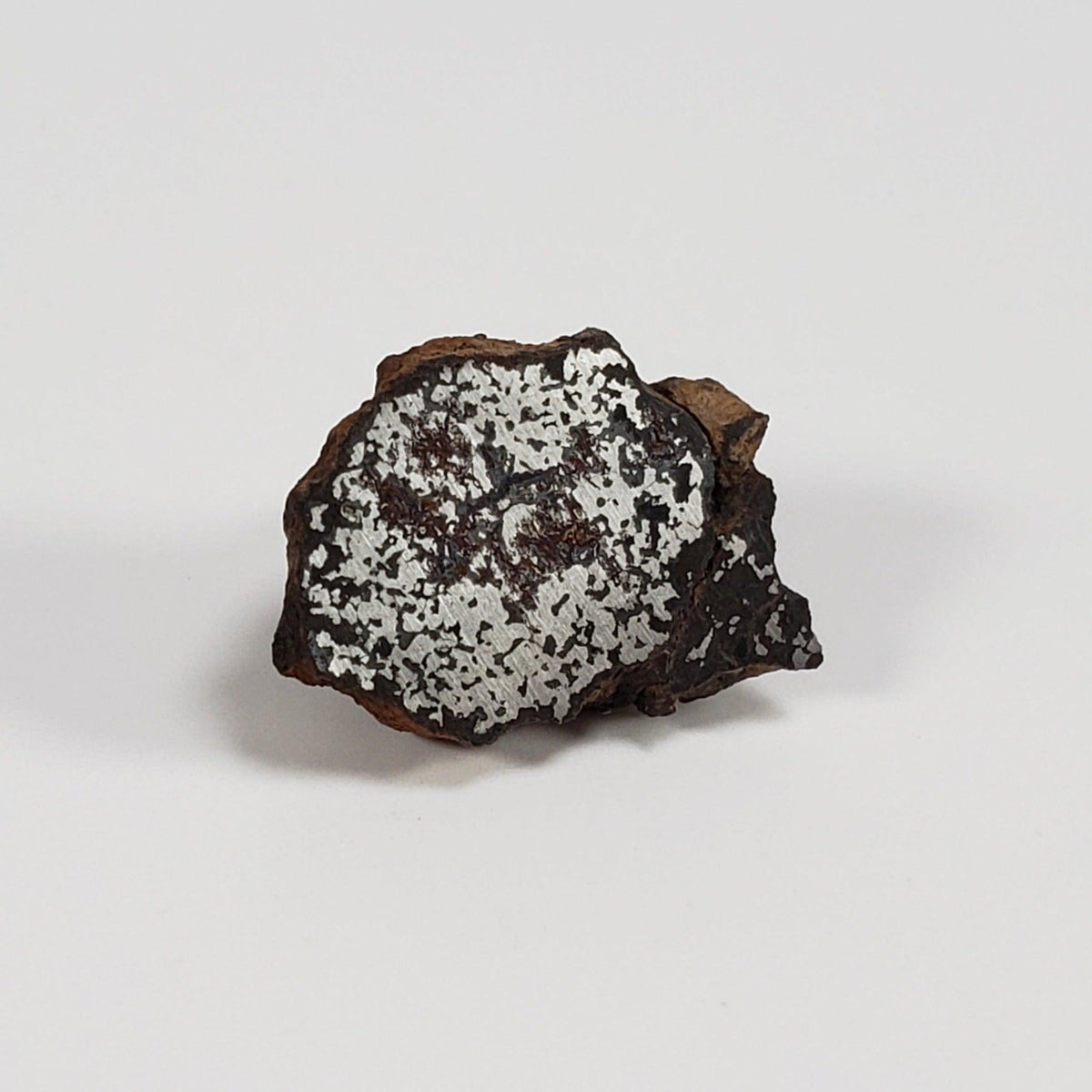  NWA 2924 Meteorite | 3.93 Gr | End Cut | Stony Iron Mesosiderite | Algeria | SO24 4
