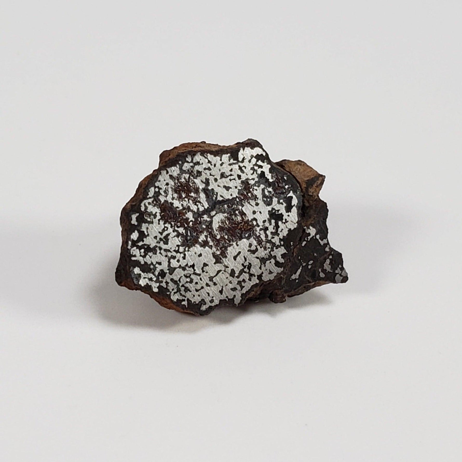  NWA 2924 Meteorite | 3.93 Gr | End Cut | Stony Iron Mesosiderite | Algeria | SO24 4