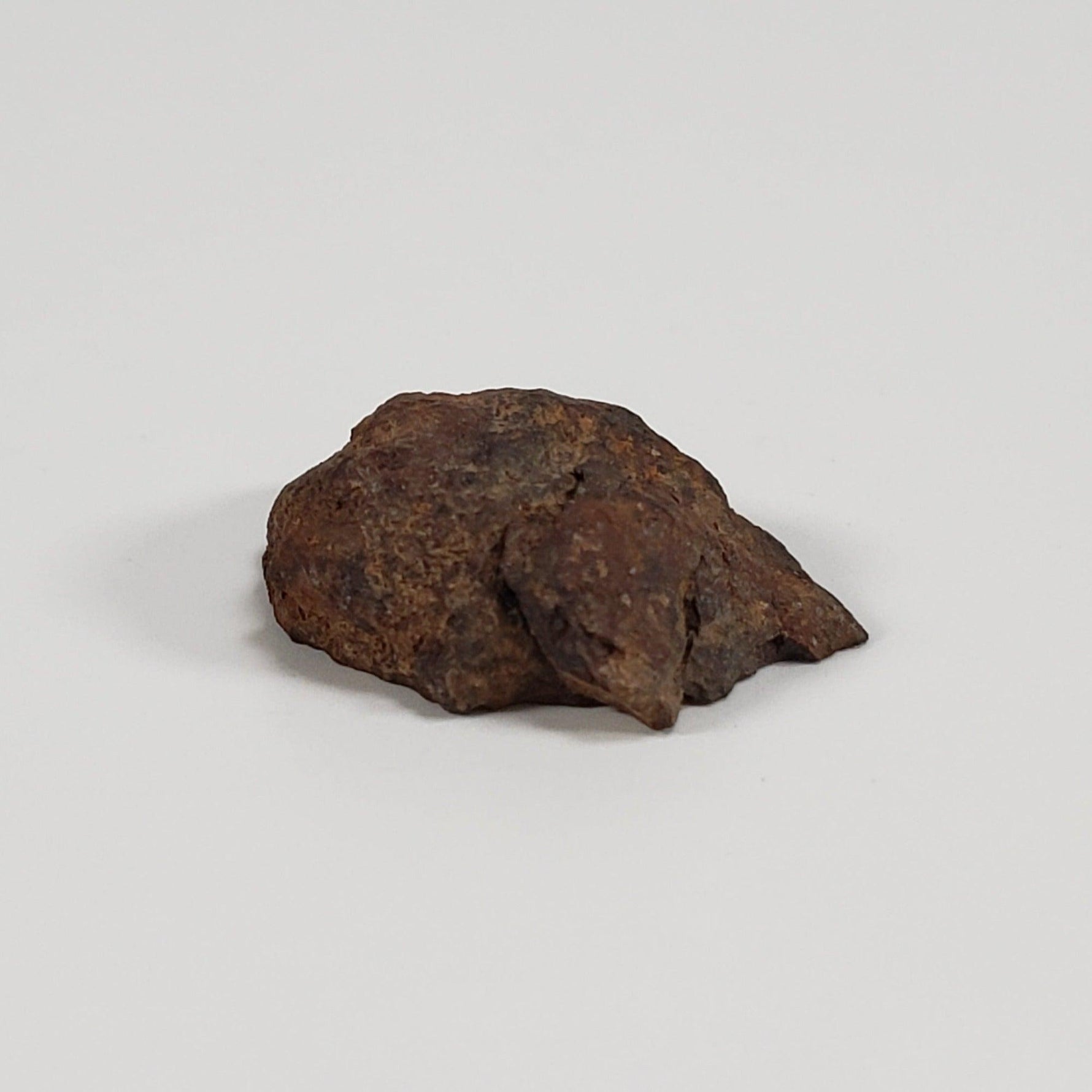  NWA 2924 Meteorite | 3.93 Gr | End Cut | Stony Iron Mesosiderite | Algeria | SO24 5