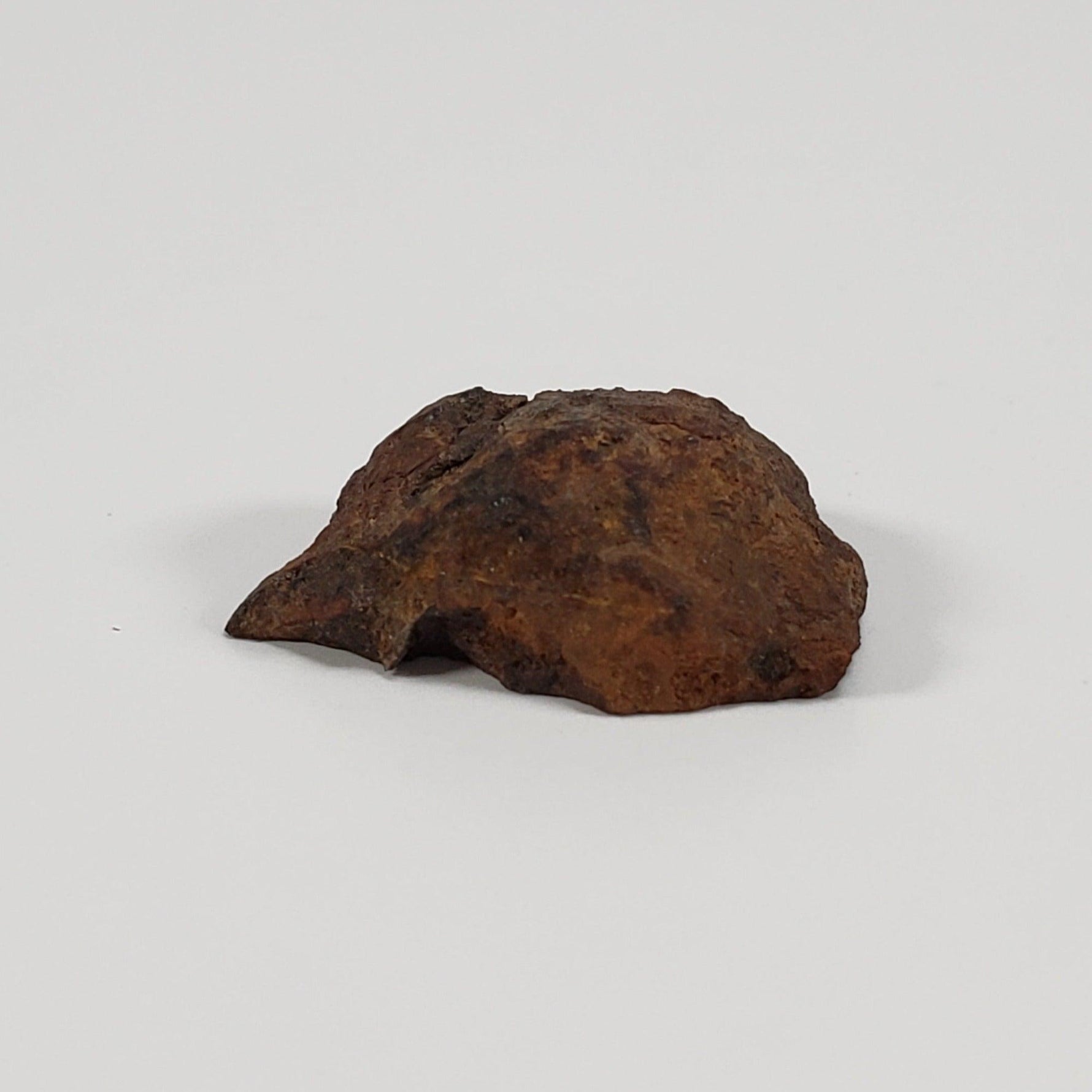  NWA 2924 Meteorite | 3.93 Gr | End Cut | Stony Iron Mesosiderite | Algeria | SO24 6