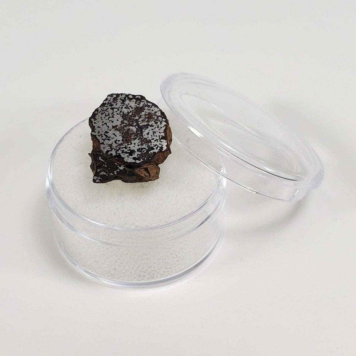  NWA 2924 Meteorite | 3.93 Gr | End Cut | Stony Iron Mesosiderite | Algeria | SO24 7