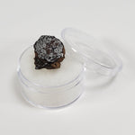  NWA 2924 Meteorite | 3.93 Gr | End Cut | Stony Iron Mesosiderite | Algeria | SO24 7