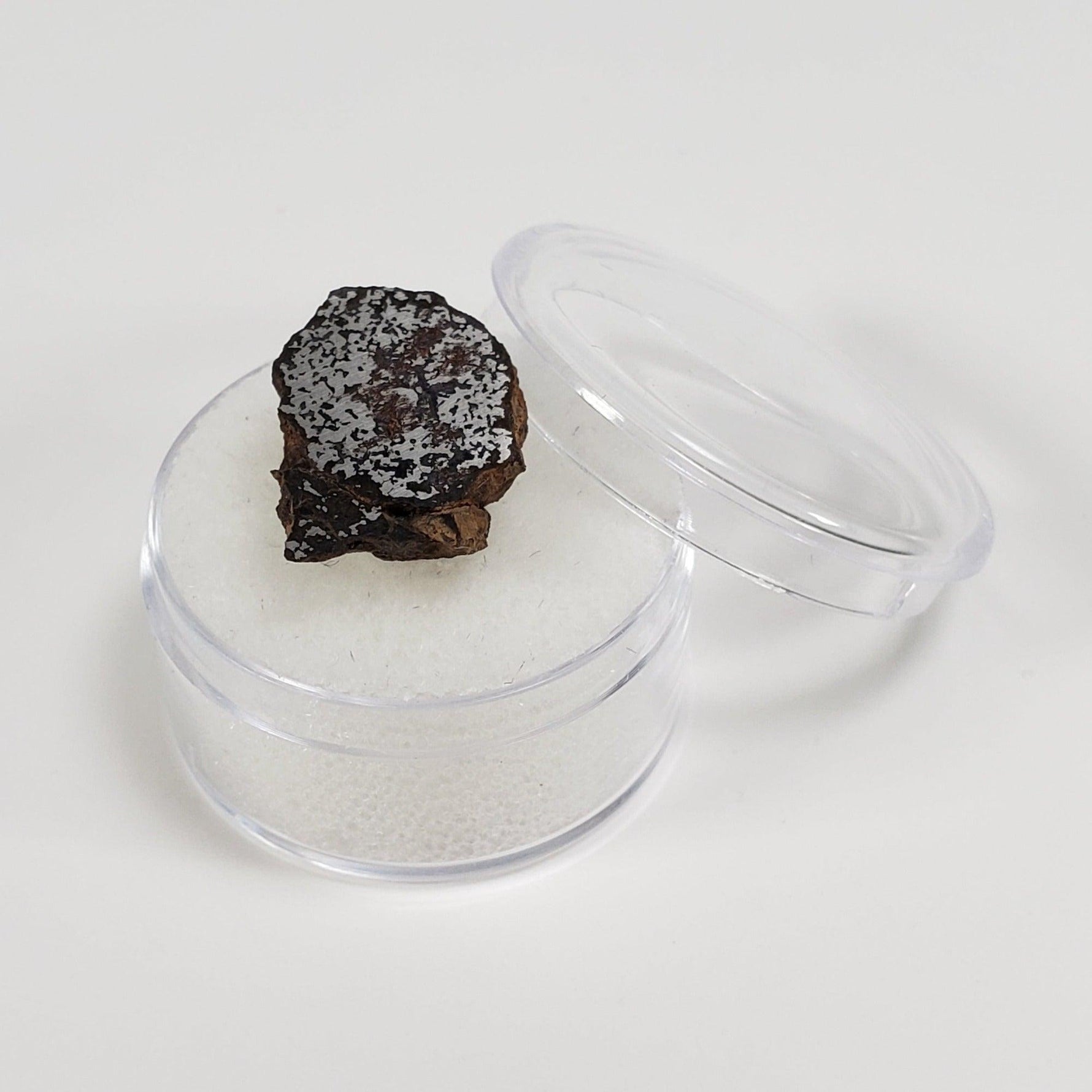  NWA 2924 Meteorite | 3.93 Gr | End Cut | Stony Iron Mesosiderite | Algeria | SO24 7
