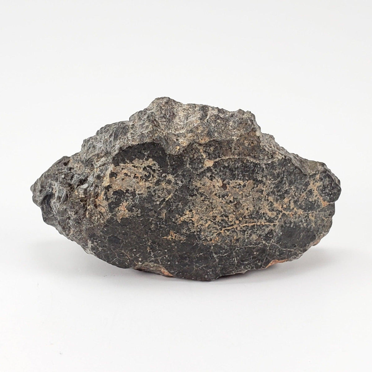  NWA 2949 Meteorite | 20 Gr | End Cut | Rare Crusted Eucrite | Low TKW | Erfoud, Morocco 1