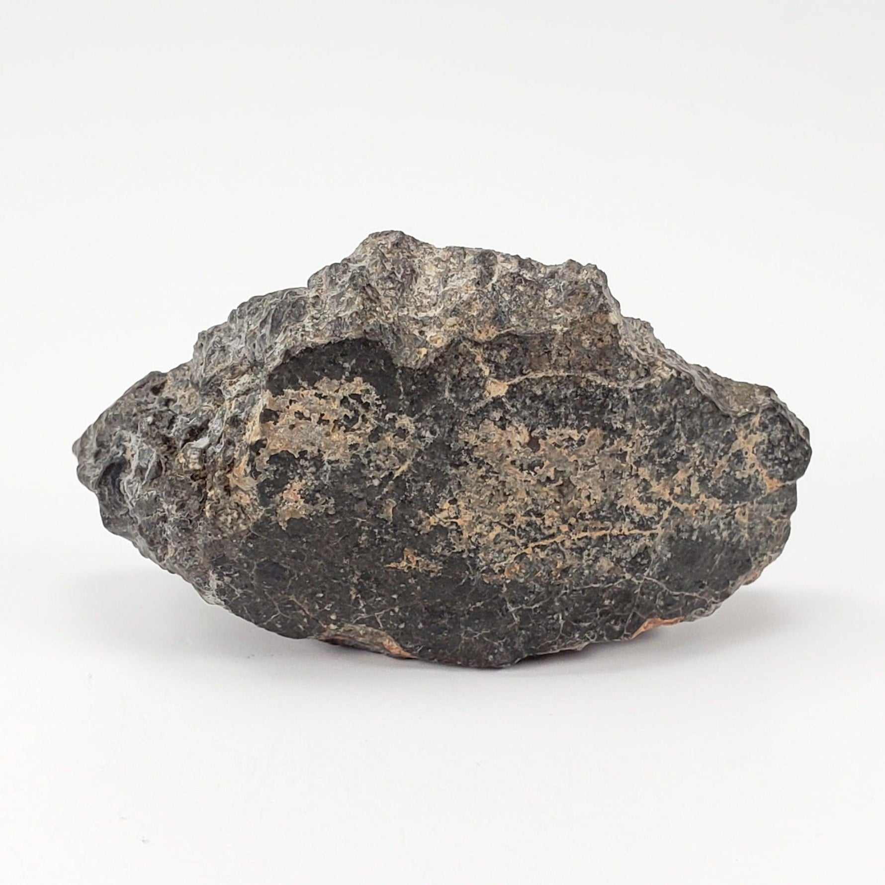  NWA 2949 Meteorite | 20 Gr | End Cut | Rare Crusted Eucrite | Low TKW | Erfoud, Morocco 1