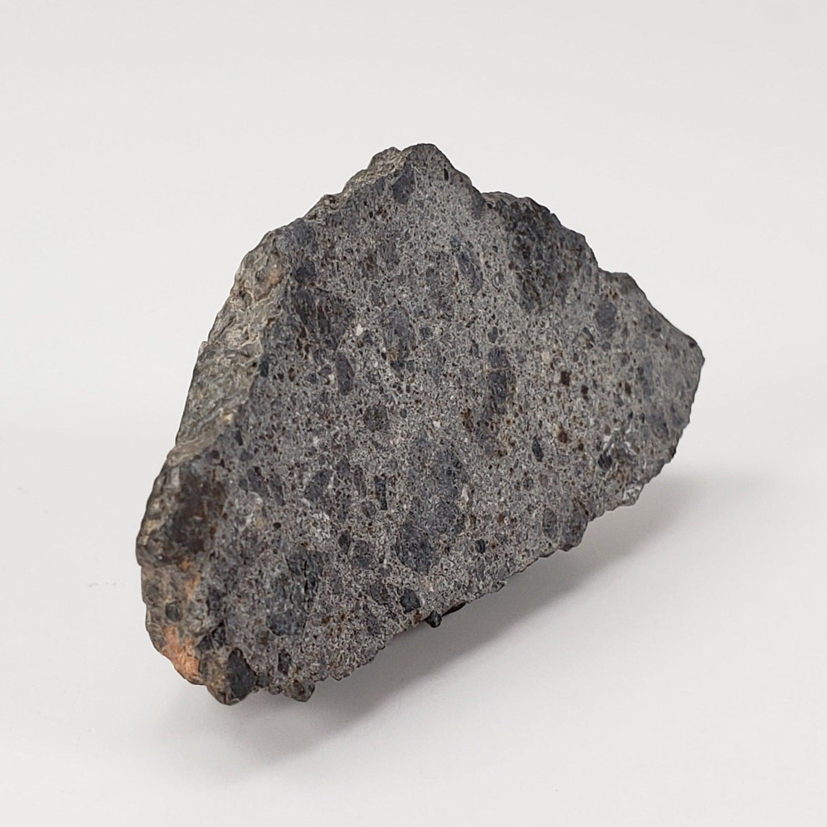  NWA 2949 Meteorite | 20 Gr | End Cut | Rare Crusted Eucrite | Low TKW | Erfoud, Morocco 2