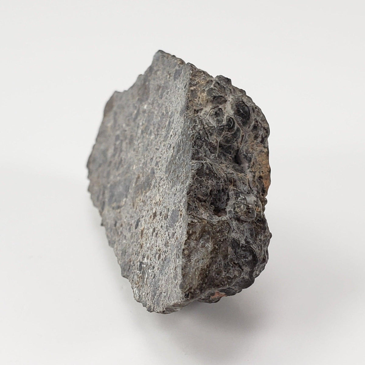  NWA 2949 Meteorite | 20 Gr | End Cut | Rare Crusted Eucrite | Low TKW | Erfoud, Morocco 3