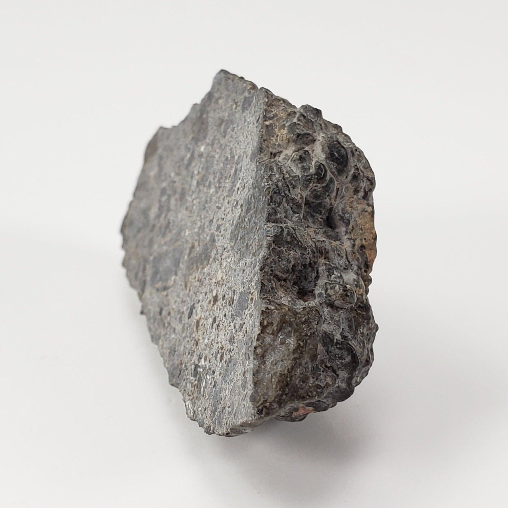  NWA 2949 Meteorite | 20 Gr | End Cut | Rare Crusted Eucrite | Low TKW | Erfoud, Morocco 3