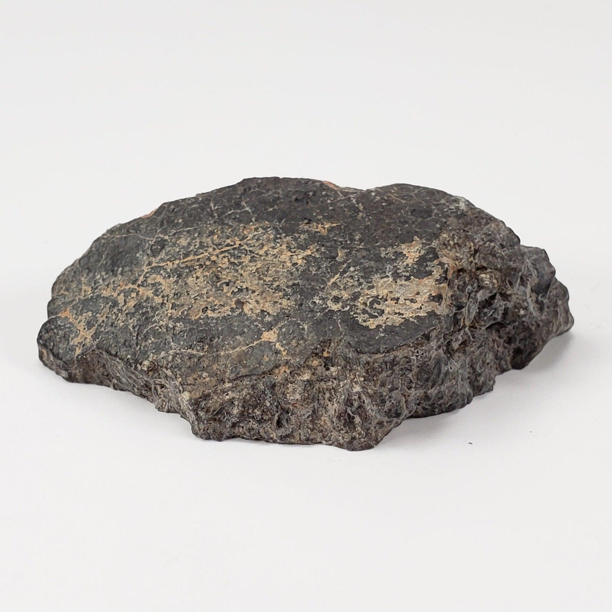  NWA 2949 Meteorite | 20 Gr | End Cut | Rare Crusted Eucrite | Low TKW | Erfoud, Morocco 4