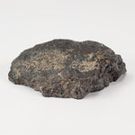  NWA 2949 Meteorite | 20 Gr | End Cut | Rare Crusted Eucrite | Low TKW | Erfoud, Morocco 4