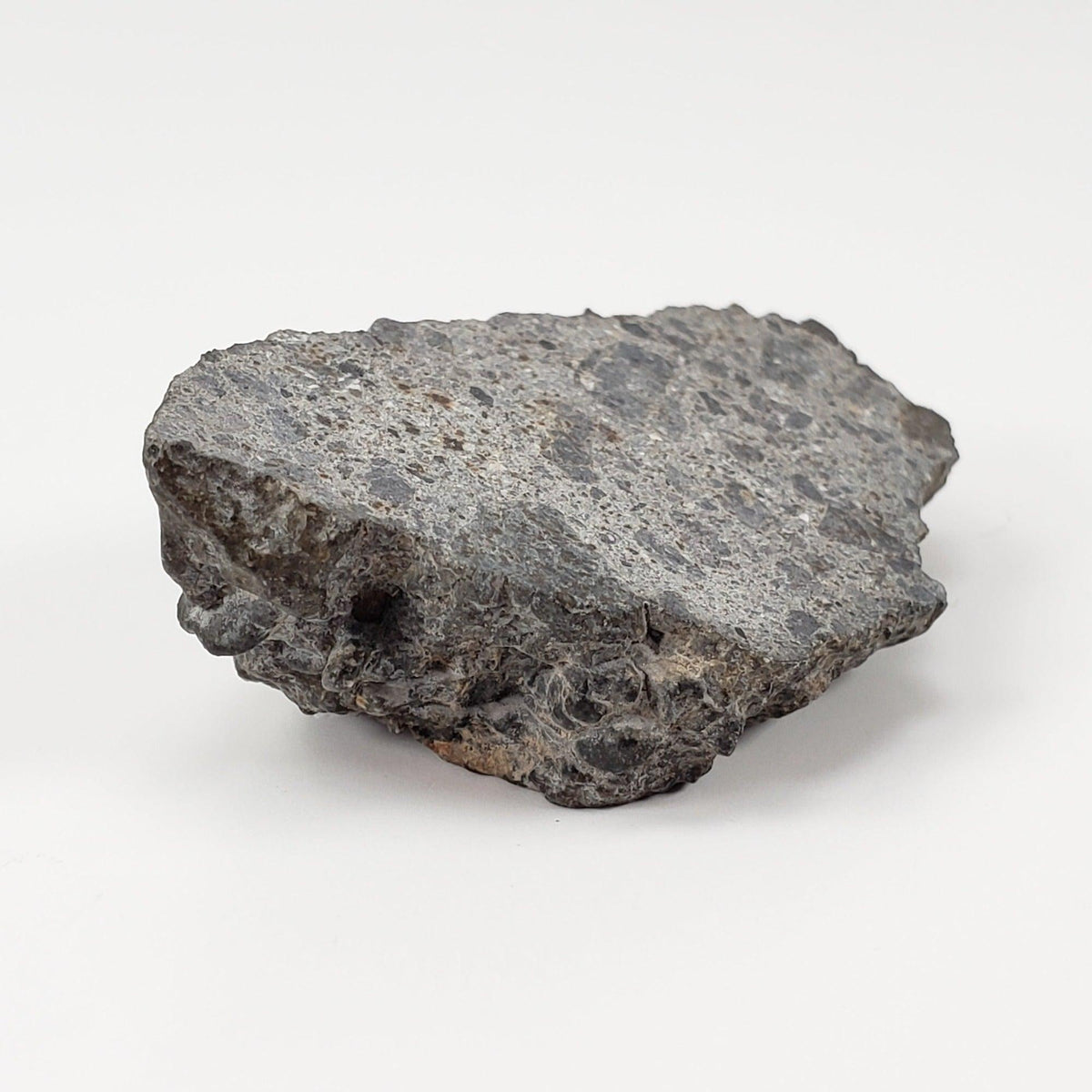  NWA 2949 Meteorite | 20 Gr | End Cut | Rare Crusted Eucrite | Low TKW | Erfoud, Morocco 5