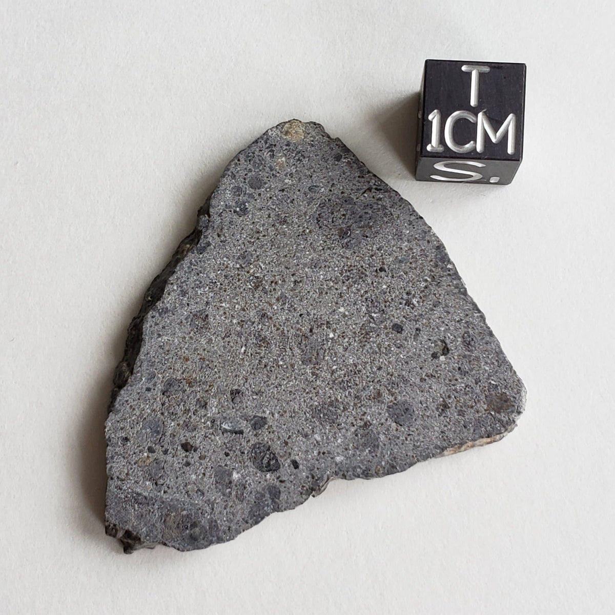  NWA 2949 Meteorite | 9.7 Gr | Slice | Rare Eucrite | Crusted | Low TKW | Erfoud, Morocco 