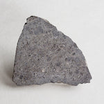  NWA 2949 Meteorite | 9.7 Gr | Slice | Rare Eucrite | Crusted | Low TKW | Erfoud, Morocco 3