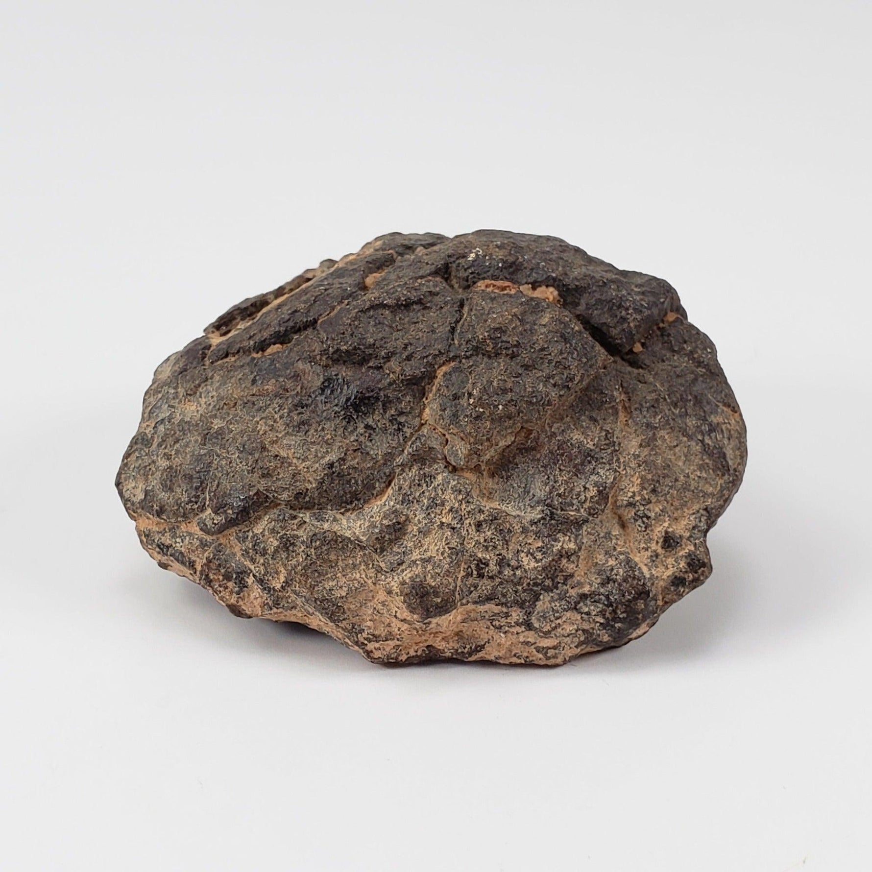  NWA 2965 Meteorite | 50.46 Grams | Individual | EL-Melt Rock | Fossil Paleomet 1
