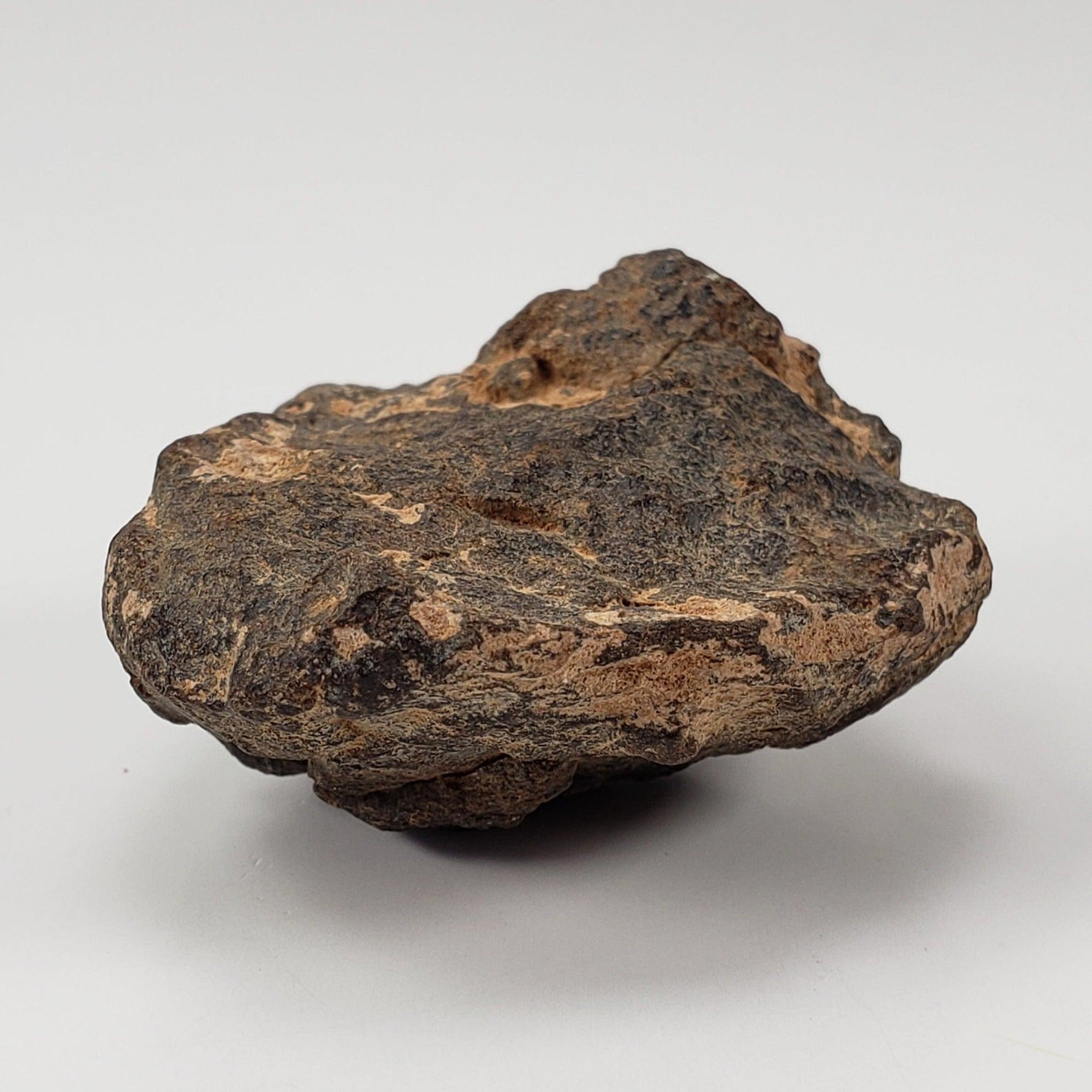  NWA 2965 Meteorite | 50.46 Grams | Individual | EL-Melt Rock | Fossil Paleomet 4