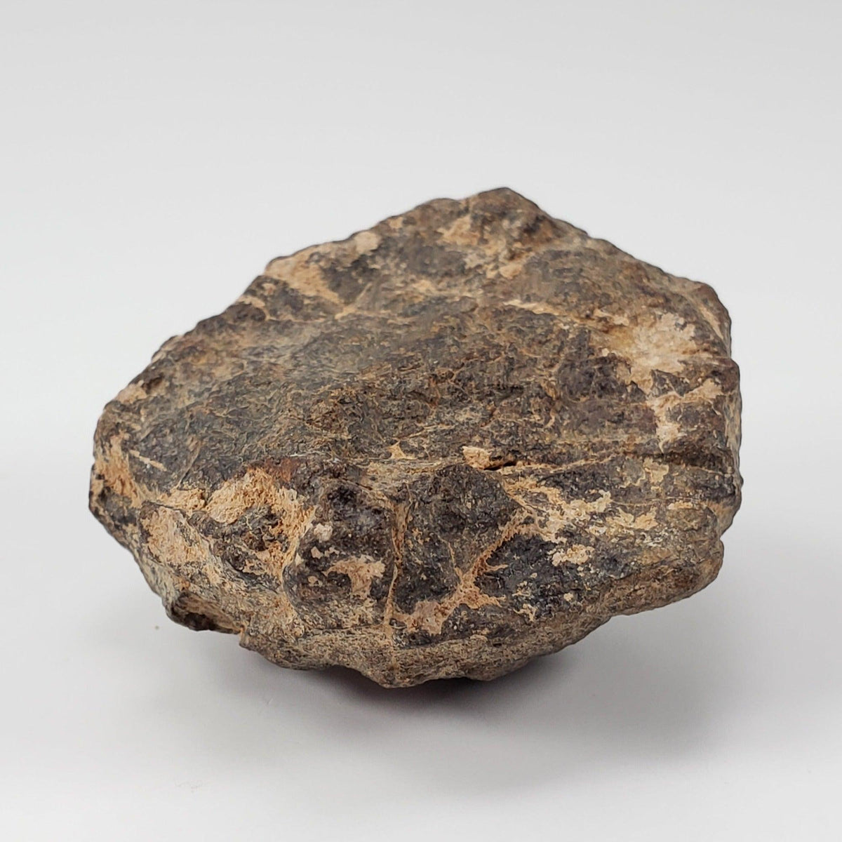  NWA 2965 Meteorite | 50.46 Grams | Individual | EL-Melt Rock | Fossil Paleomet 6
