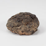  NWA 2965 Meteorite | 50.46 Grams | Individual | EL-Melt Rock | Fossil Paleomet 1