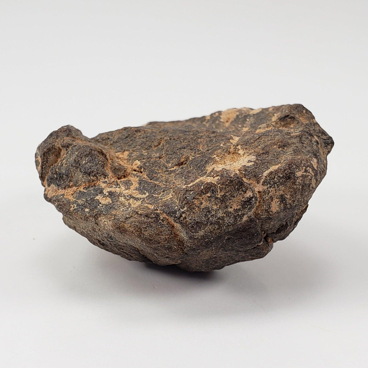  NWA 2965 Meteorite | 50.46 Grams | Individual | EL-Melt Rock | Fossil Paleomet 5