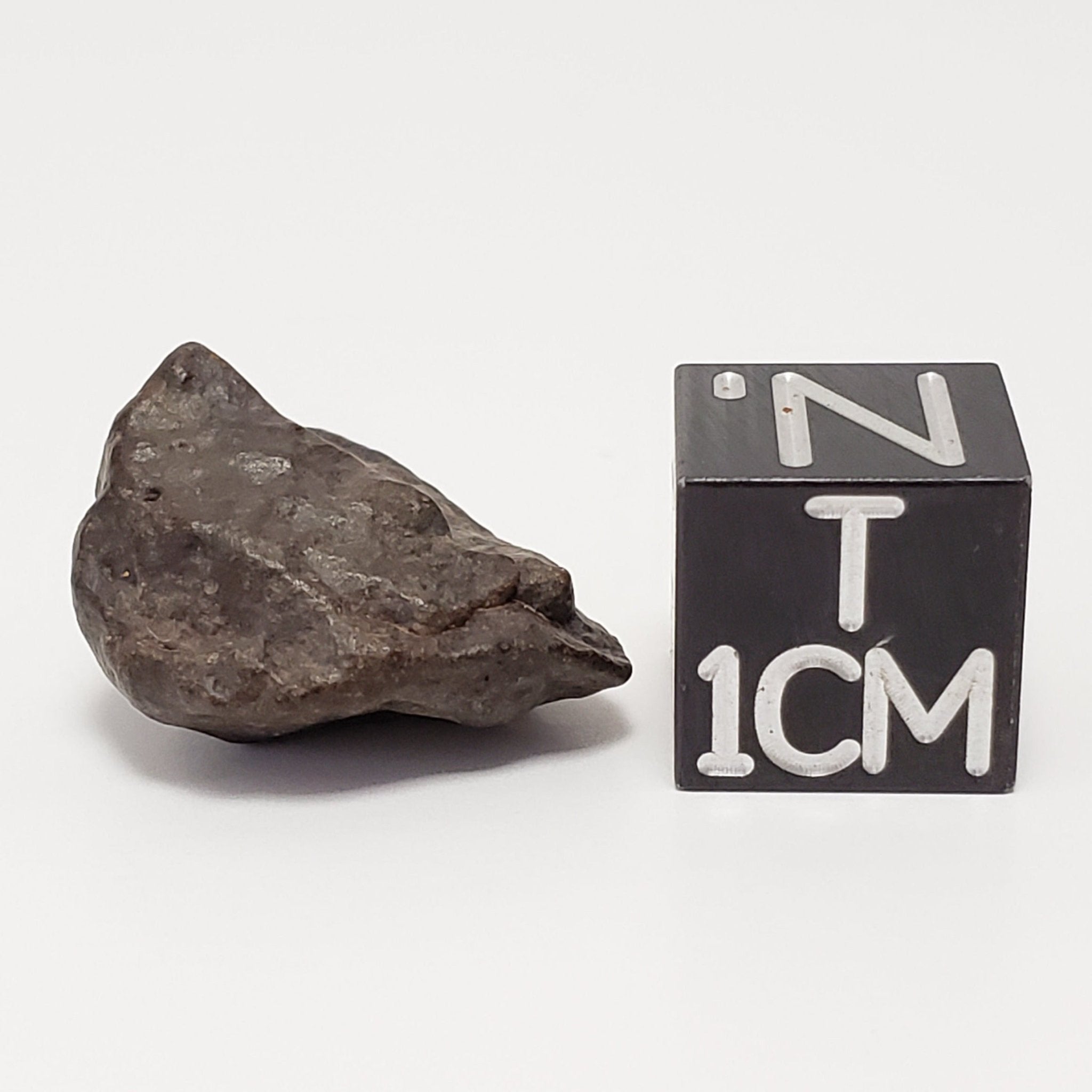 NWA 4293 Meteorite | 3 Grams | Individual | H6 Chondrite | SO24