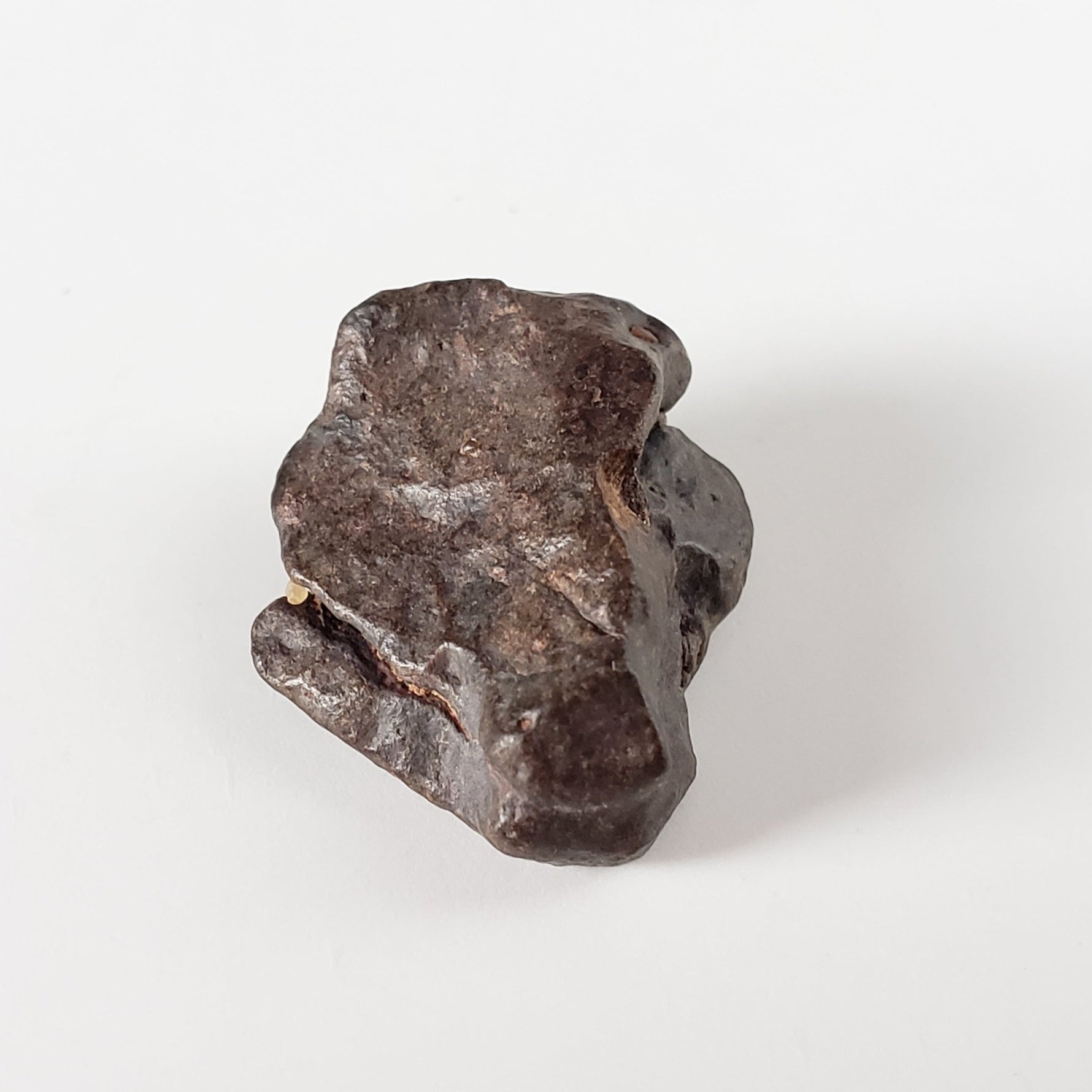  NWA 4293 Meteorite | 4.5 Grams | Individual | H6 Chondrite | SO24 1