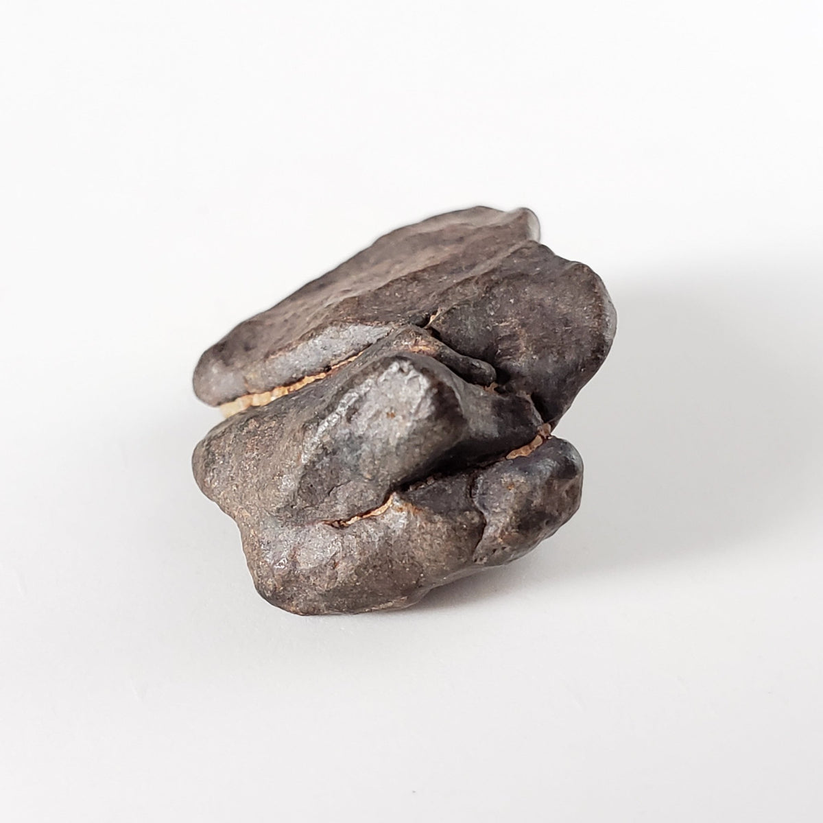  NWA 4293 Meteorite | 4.5 Grams | Individual | H6 Chondrite | SO24 2