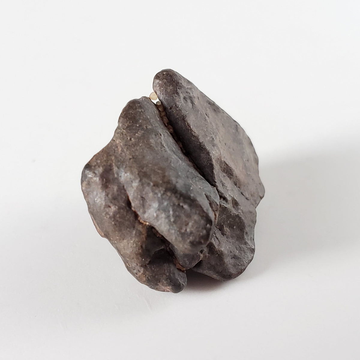 NWA 4293 Meteorite | 4.5 Grams | Individual | H6 Chondrite | SO24 3