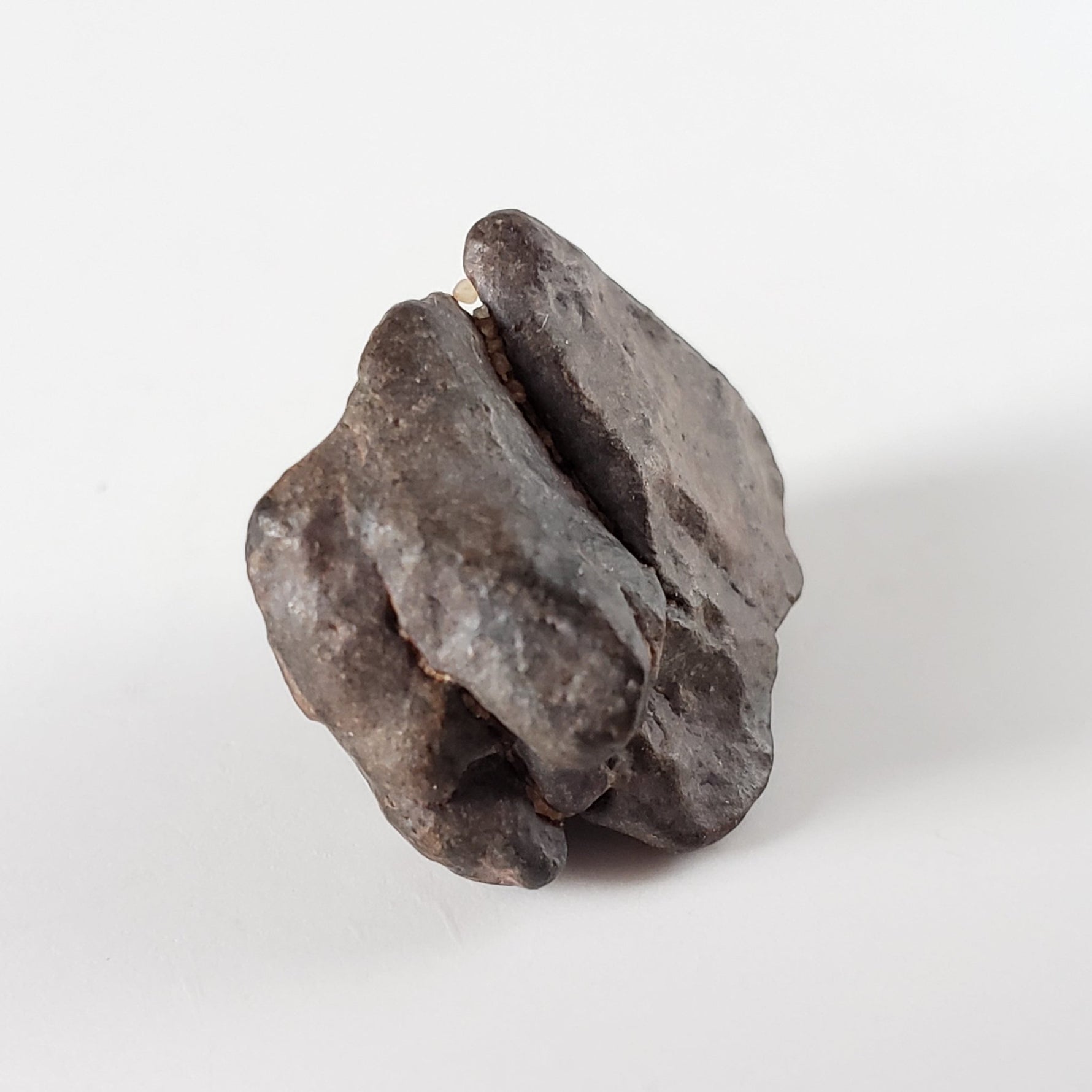  NWA 4293 Meteorite | 4.5 Grams | Individual | H6 Chondrite | SO24 3