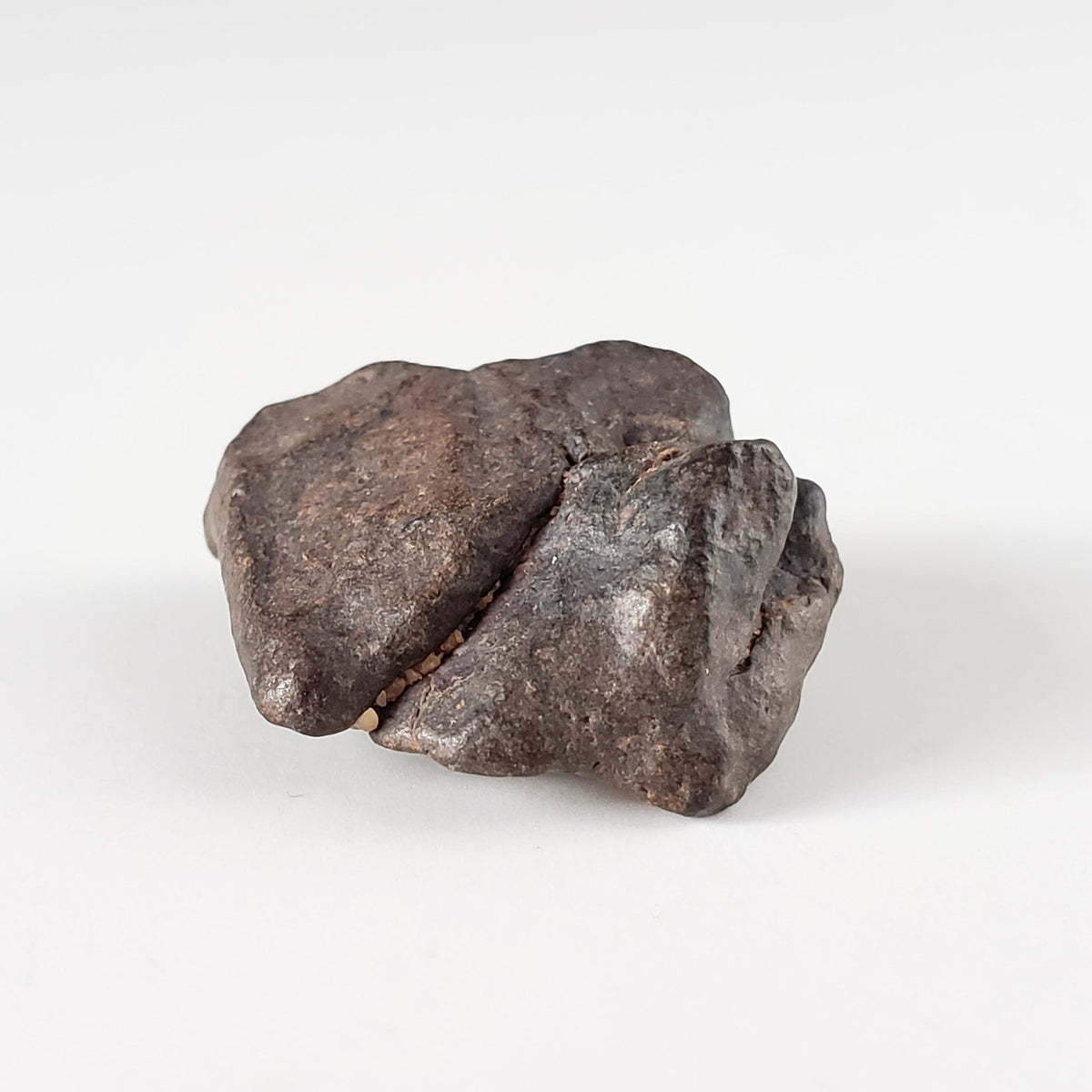  NWA 4293 Meteorite | 4.5 Grams | Individual | H6 Chondrite | SO24 4