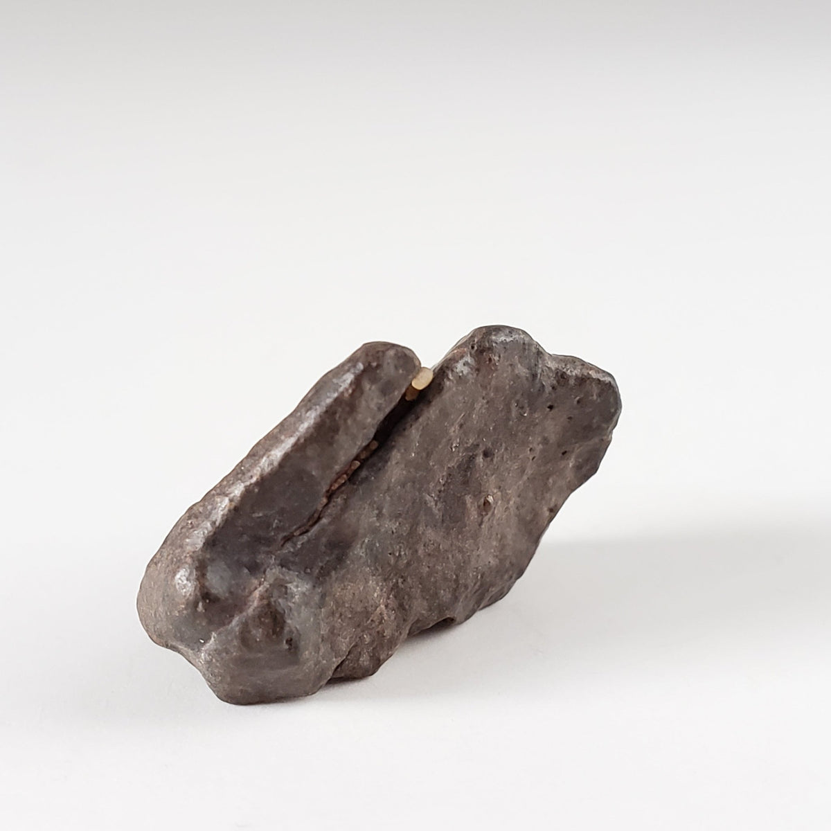  NWA 4293 Meteorite | 4.5 Grams | Individual | H6 Chondrite | SO24 5