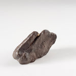  NWA 4293 Meteorite | 4.5 Grams | Individual | H6 Chondrite | SO24 5