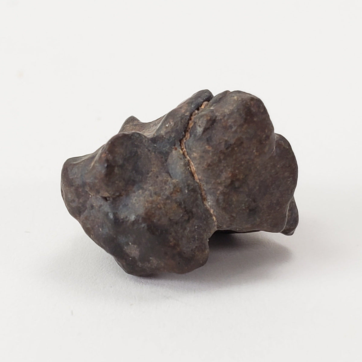  NWA 4293 Meteorite | 4.96 Grams | Individual | H6 Chondrite | SO24 8