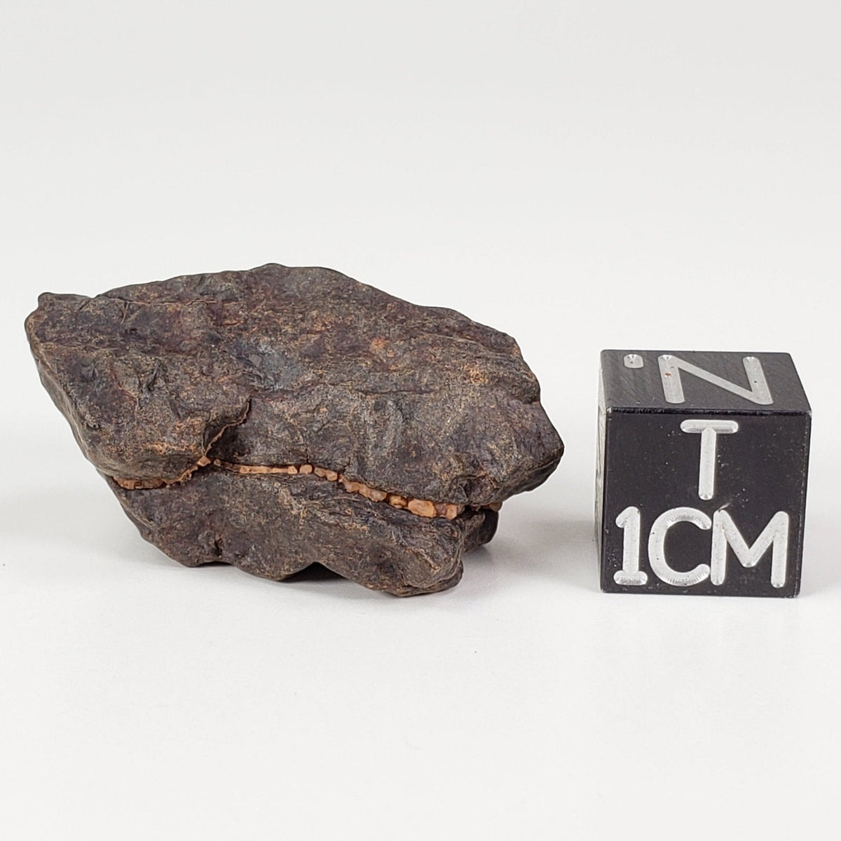  NWA 4293 Meteorite | 9.5 Grams | Individual | H6 Chondrite | SO24 