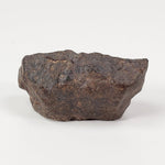  NWA 4293 Meteorite | 9.5 Grams | Individual | H6 Chondrite | SO24 1