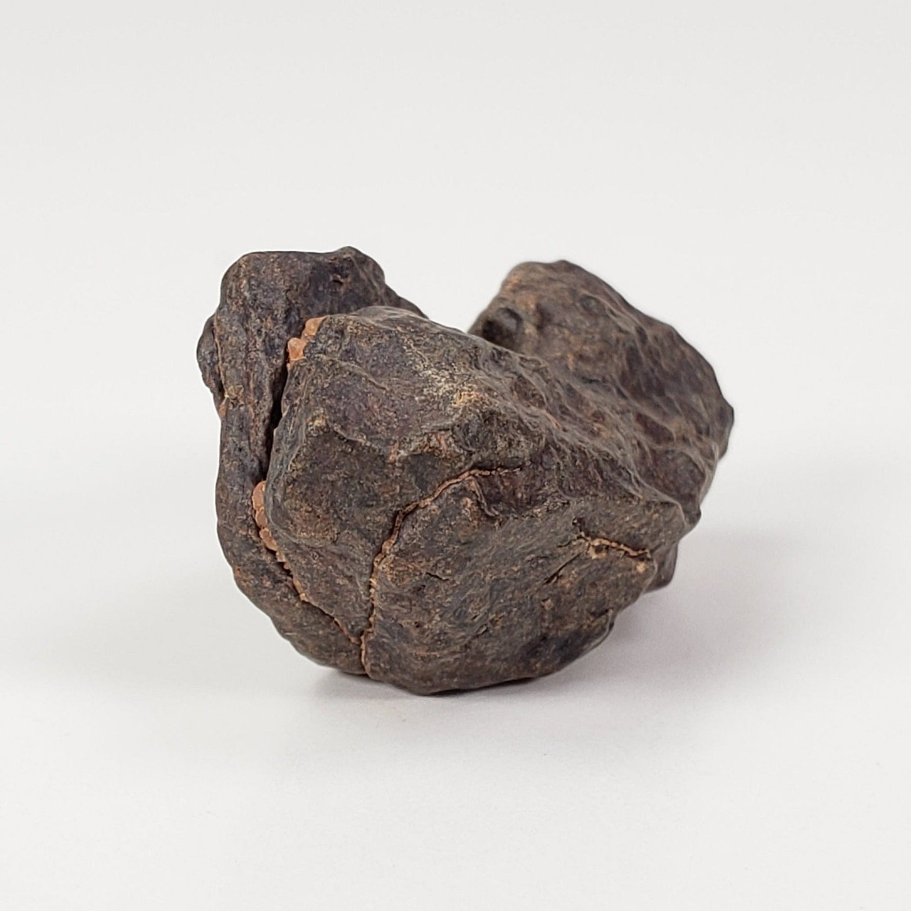  NWA 4293 Meteorite | 9.5 Grams | Individual | H6 Chondrite | SO24 2