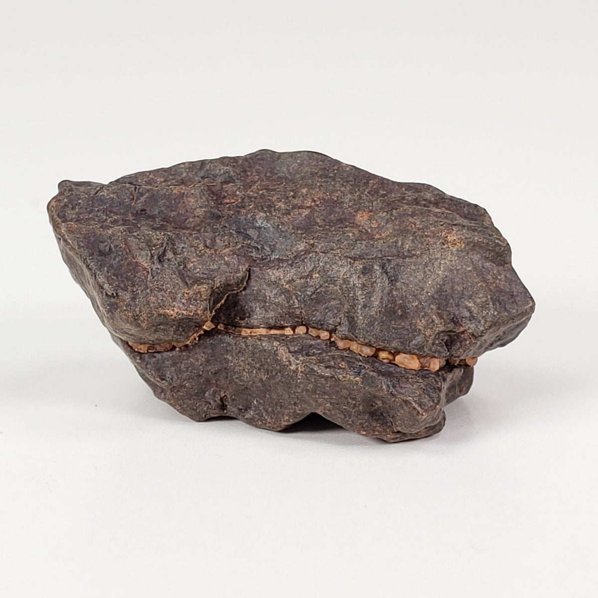  NWA 4293 Meteorite | 9.5 Grams | Individual | H6 Chondrite | SO24 4